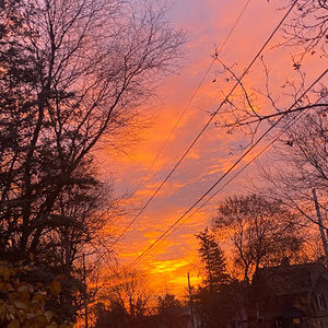 Meet your Posher, Nora